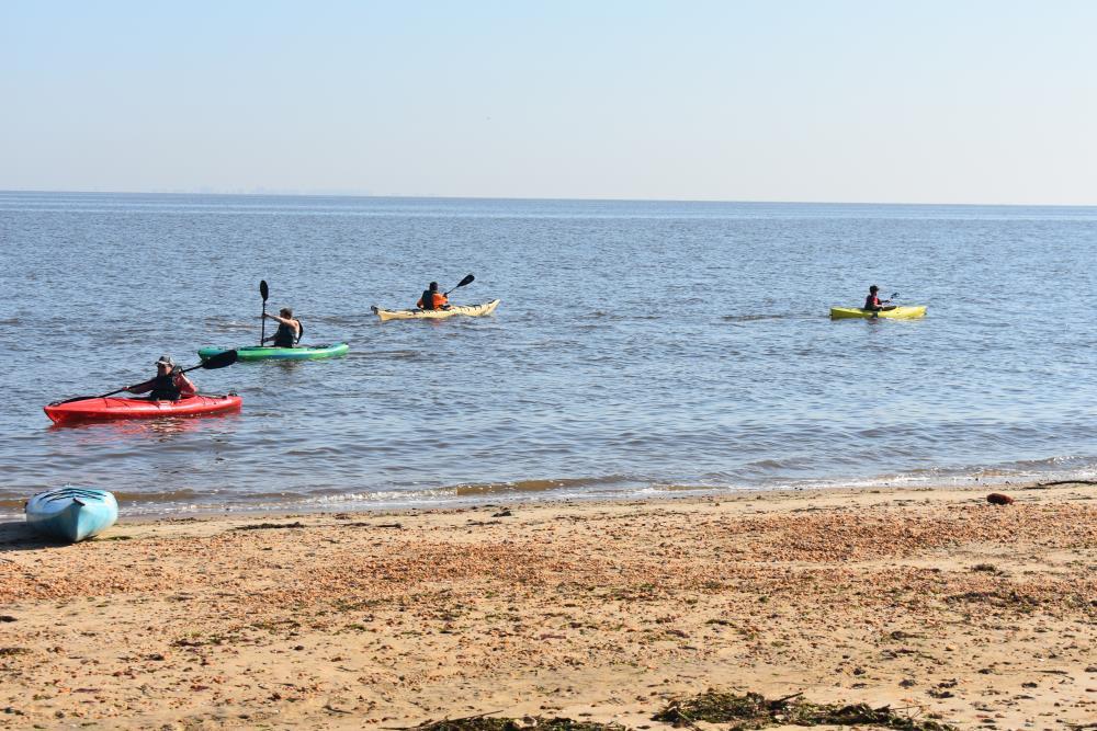 People Paddling Kayaks off the Beach Shore