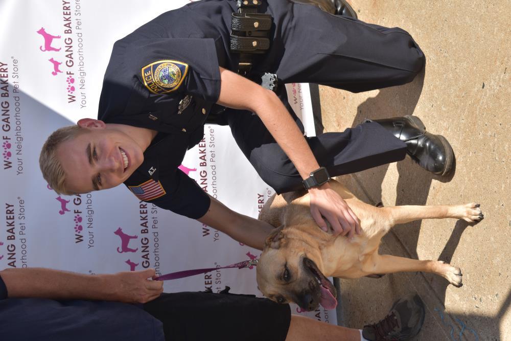 Police Officer Petting a Dog